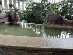 -中家鑫园温泉酒店鑫悦汤泉