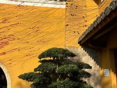 -普陀山慧济禅寺