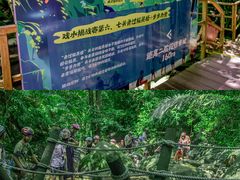 -呀诺达热带雨林