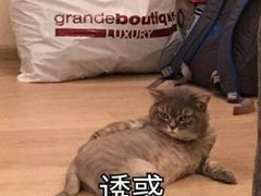 -铁道茶苑.色稷餐厅(莲花南路店)