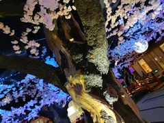 -蓝鲸湾汤泉(包河店)