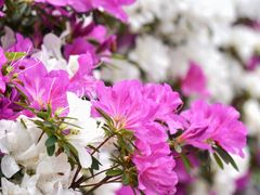 -龙湖重庆时代天街