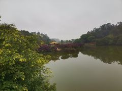 -南国桃园旅游度假区