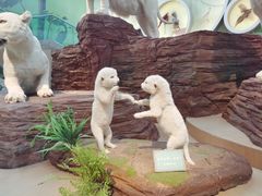 -陕西自然博物馆