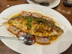 -龙悦湾酒家·八阵鱼生·渔人码头店