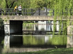 -上海共青森林公园