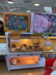 -汇乐童儿童主题乐园(李老社区商业中心店)