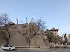 -唐猫庭院·千年陕菜(大唐不夜城店)