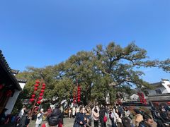 -新安江山水画廊风景区