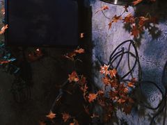-Mr.Fox狐狸先生超级密室(南山店)