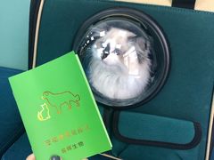 -佳怡动物医院·平价24小时·猫专科骨外科