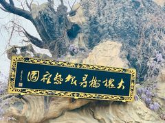 -大槐树寻根祭祖园