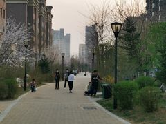 -五彩阳光城1期