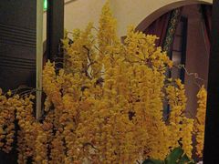 -金链花·泰国餐厅(国贸店)