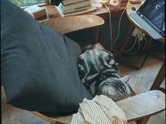 -咖法森林·咖啡  酒吧(天河店)