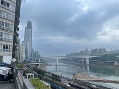 -李子坝梁山鸡(李子坝大鸡哥店)