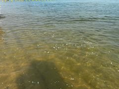 -那香海钻石沙滩浴场