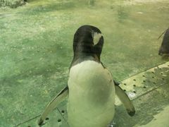 -大连圣亚海洋世界