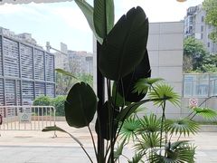 -必胜客(浦上万达店)
