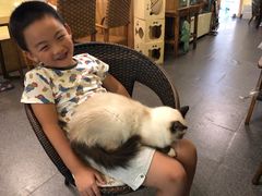 -猫色咖啡·猫咖