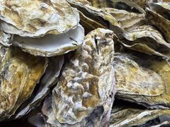 -老家黄墩小错鸡·活海鲜