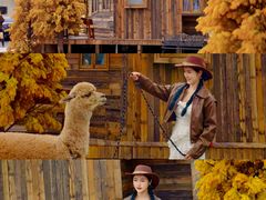 -Blue Concept Cafe&Farm·關於藍