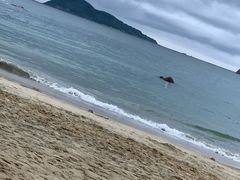 -沙扒湾