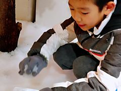 -Mr·Kuma酷么先生雪之乐园