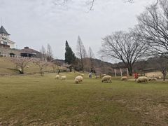 -神户市立六甲山牧场