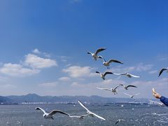 -海埂大坝