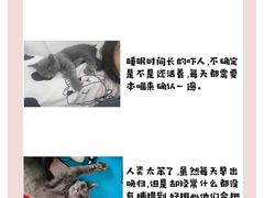 -FAELING PETS美天灵宠物(合生汇店)