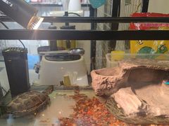 -粉墨私人影院•无人自助(维多利亚店)