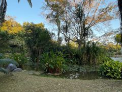 -中国科学院西双版纳热带植物园