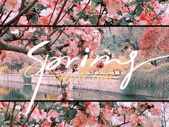 -海棠花溪(元大都城垣遗址公园)