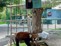 -水上乐园·欢乐世界