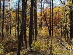 -玉渡山自然风景区