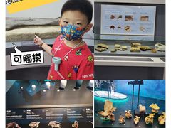 -香港科学馆
