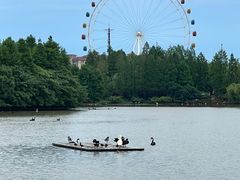 -上海野生动物园