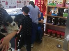 -A猫a狗全科·犬猫异宠·芥西宠物医院(南开总院)