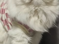 -鼎记啫啫煲(数博万达店)