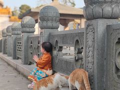 -高旻寺