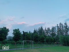 -前小桔亲子创意农场·草莓采摘·露营烧烤