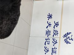 -申普宠物医院·眼科·心内科·影像科(普陀分院)