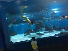 -苏州海洋馆