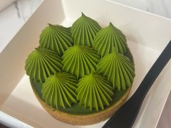 抹茶挞-猫里有甜
