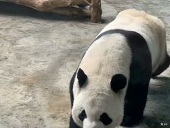 -石家庄市动物园