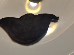 -九月海·海鲜自助(世纪东方店)