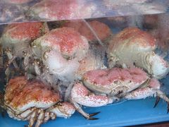 crab-珍宝海鲜(东海岸海鲜中心)