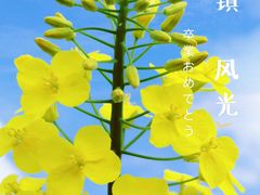 -南武当山景区