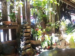 大堂-自然餐厅(Phuket)